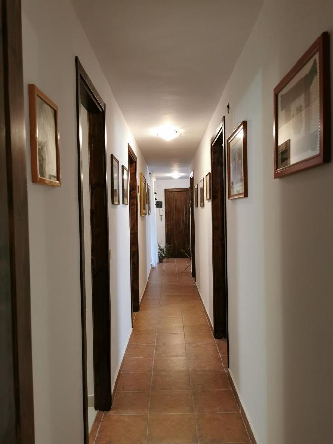 קטאניה House Stephanotus מראה חיצוני תמונה
